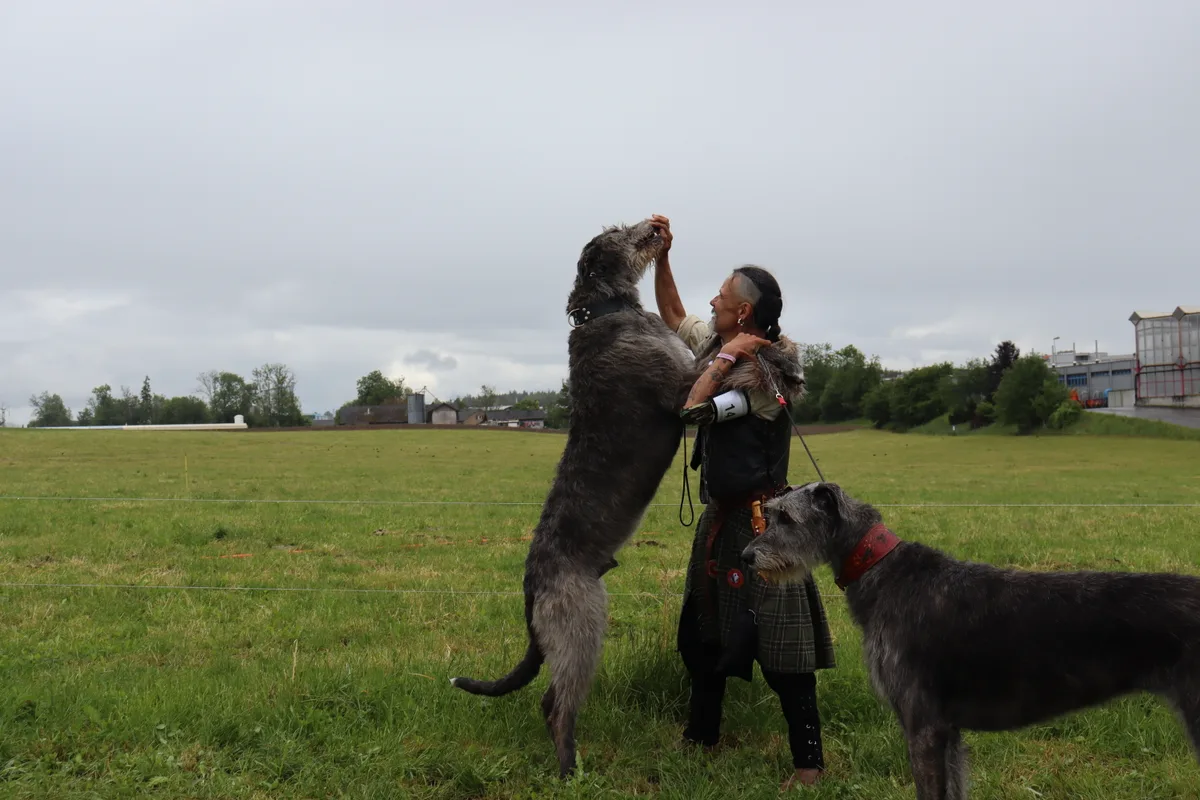 Ein Mann mit seinem irischen Wolfshund
